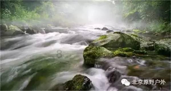 心灵杀手